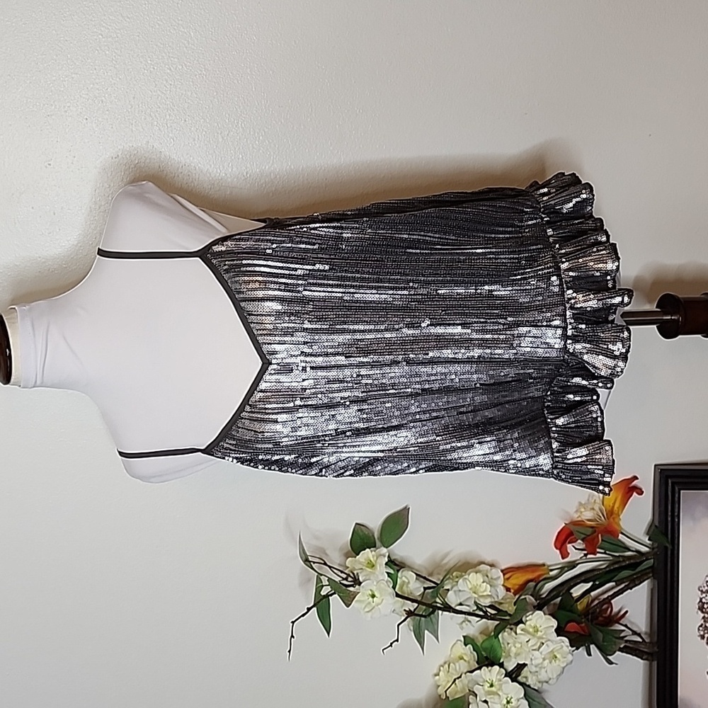 NEW Anthropologie Amelie Beaded Cami Pewter Ruffle Hem Evening Top Bohemian Chic - Picture 6 of 11